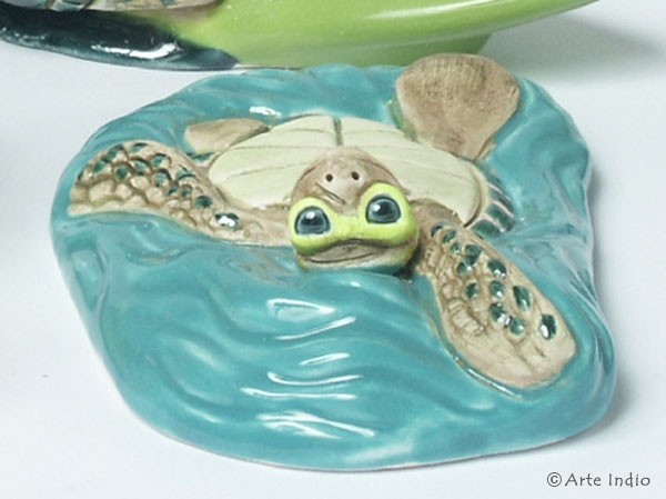 Watersports turtle, back swimmer